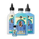 Kit Reparação Imediata Danos Vorazes - Shampoo, Condicionador, Máscara, Leave-in e Óleo